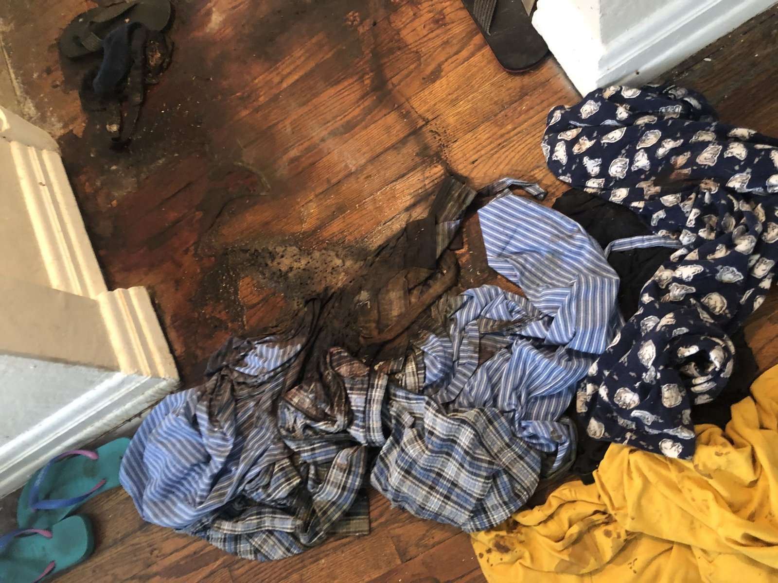 46E9E01F-ADB5-47EC-8883-880DED6AEECC